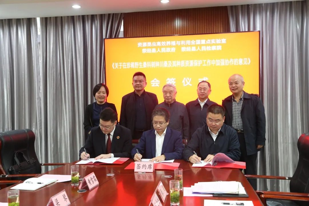 01.jpg 图片